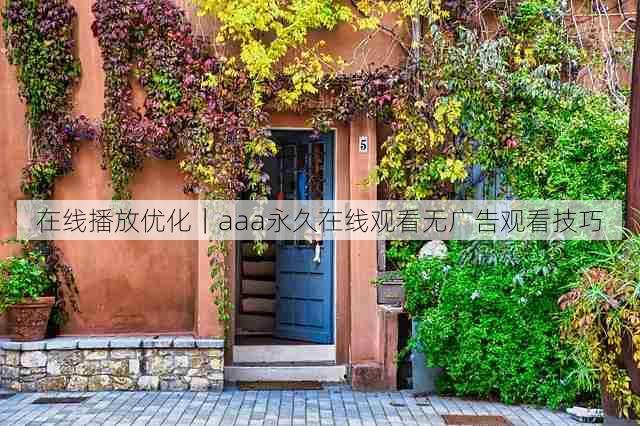 在线播放优化|aaa永久在线观看无广告观看技巧