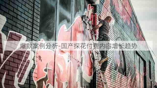 爆款案例分析-国产探花付费内容增长趋势