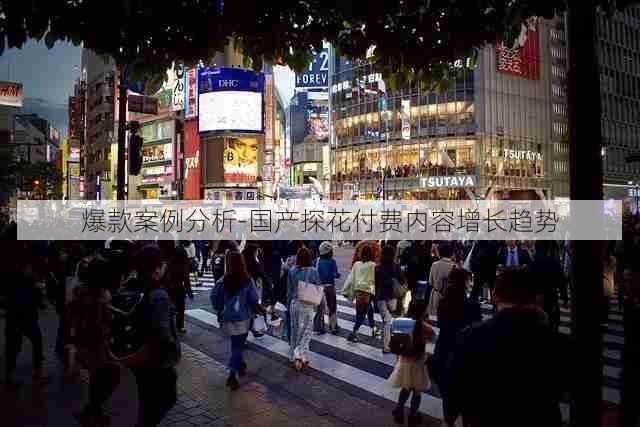 爆款案例分析-国产探花付费内容增长趋势