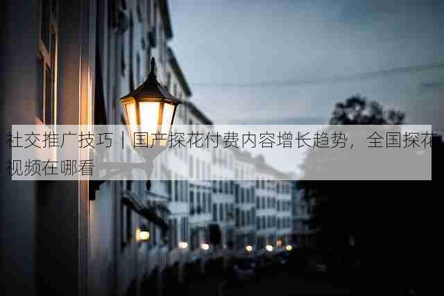 社交推广技巧|国产探花付费内容增长趋势,全国探花视频在哪看