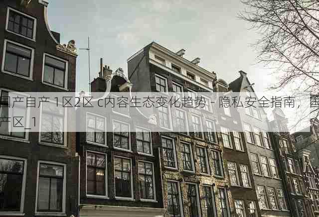 国产自产 1区2区 c内容生态变化趋势 - 隐私安全指南,国产区_1