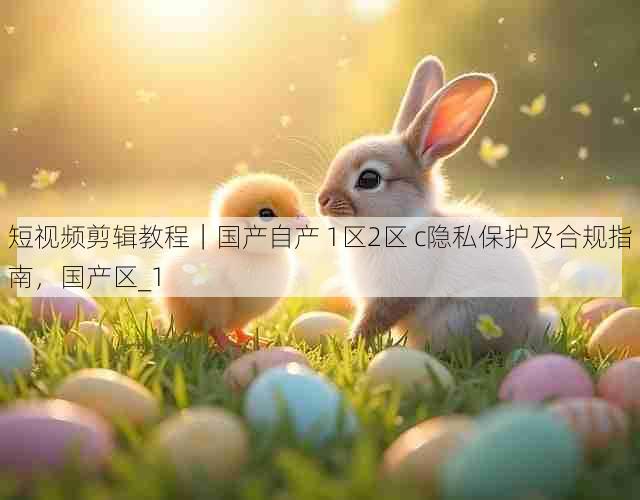 短视频剪辑教程|国产自产 1区2区 c隐私保护及合规指南,国产区_1