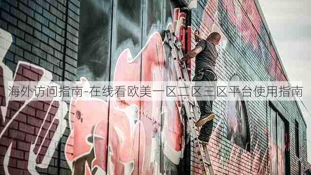 海外访问指南-在线看欧美一区二区三区平台使用指南