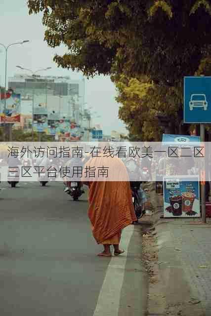 海外访问指南-在线看欧美一区二区三区平台使用指南