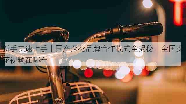 新手快速上手｜国产探花品牌合作模式全揭秘，全国探花视频在哪看