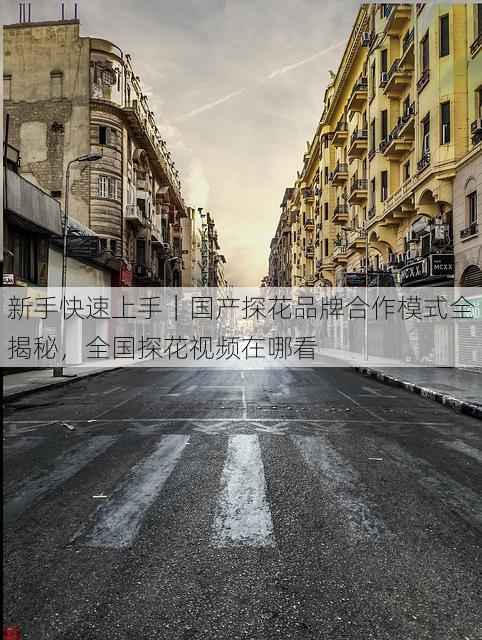 新手快速上手｜国产探花品牌合作模式全揭秘，全国探花视频在哪看