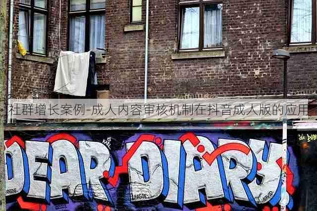 社群增长案例-成人内容审核机制在抖音成人版的应用