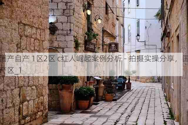 国产自产 1区2区 c红人崛起案例分析 - 拍摄实操分享,国产区_1