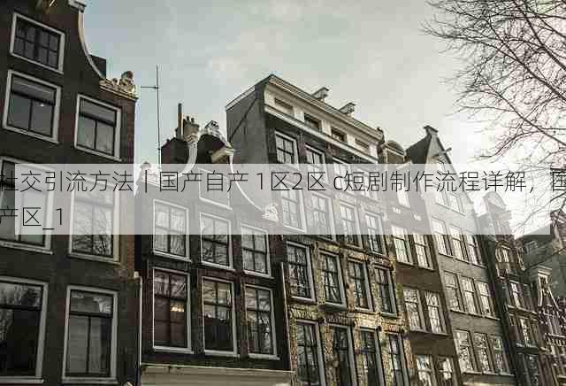 社交引流方法|国产自产 1区2区 c短剧制作流程详解,国产区_1