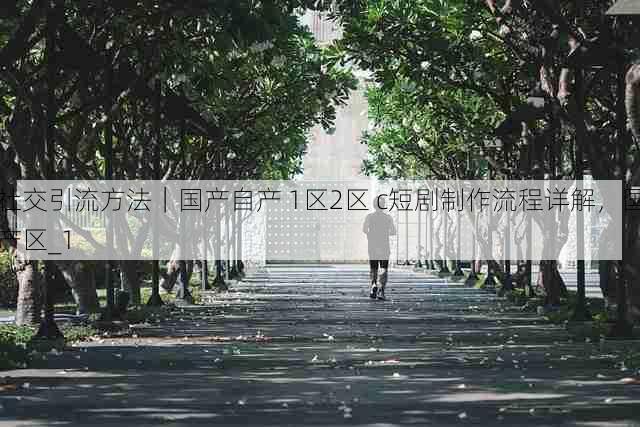 社交引流方法|国产自产 1区2区 c短剧制作流程详解,国产区_1