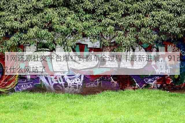 91网还原社交平台爆红到翻车全过程|最新进展,91改成仕么网站了