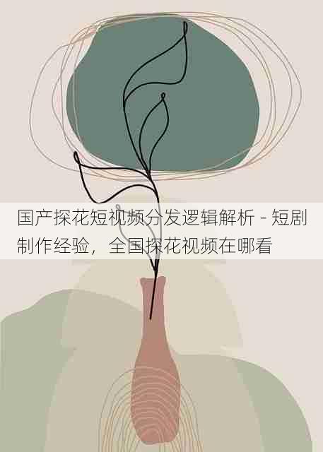 国产探花短视频分发逻辑解析 - 短剧制作经验，全国探花视频在哪看