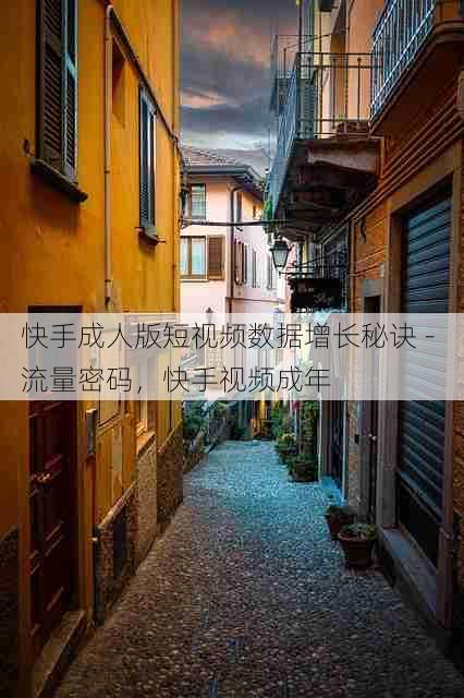 快手成人版短视频数据增长秘诀 - 流量密码，快手视频成年