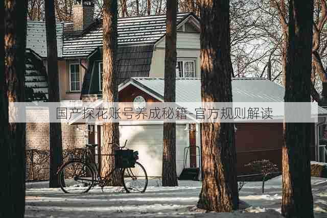 国产探花账号养成秘籍-官方规则解读