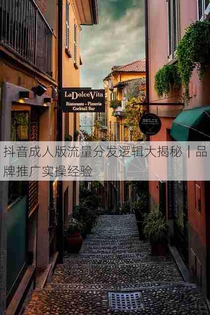 抖音成人版流量分发逻辑大揭秘|品牌推广实操经验