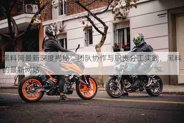 黑料网最新深度揭秘:团队协作与职责分工实践,黑料的最新网站