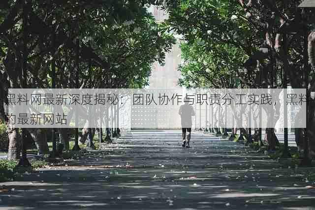 黑料网最新深度揭秘:团队协作与职责分工实践,黑料的最新网站