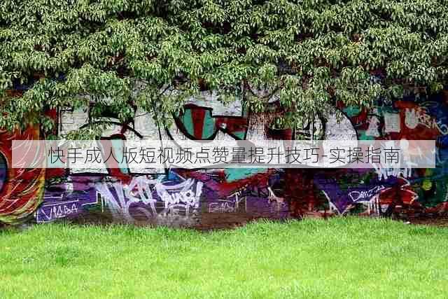 快手成人版短视频点赞量提升技巧-实操指南