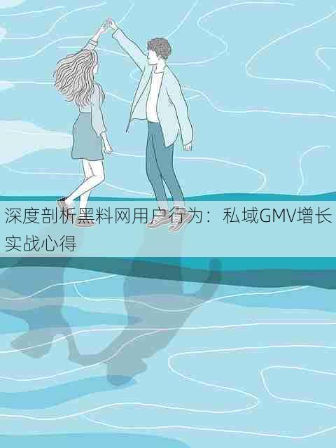 深度剖析黑料网用户行为:私域GMV增长实战心得