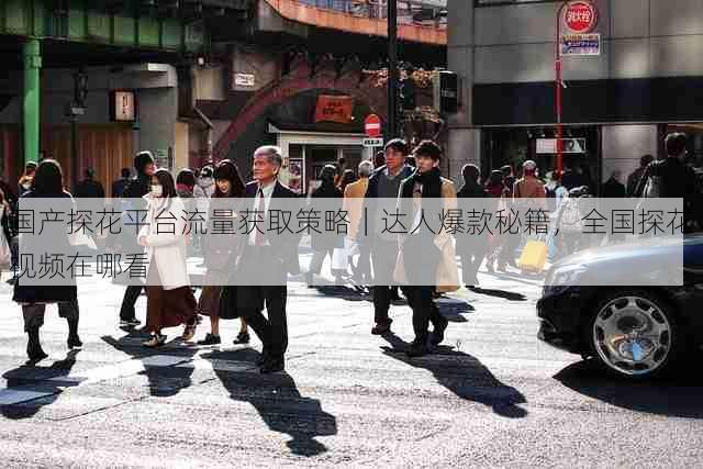 国产探花平台流量获取策略|达人爆款秘籍,全国探花视频在哪看