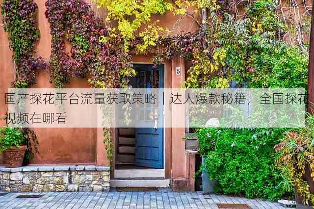 国产探花平台流量获取策略|达人爆款秘籍,全国探花视频在哪看