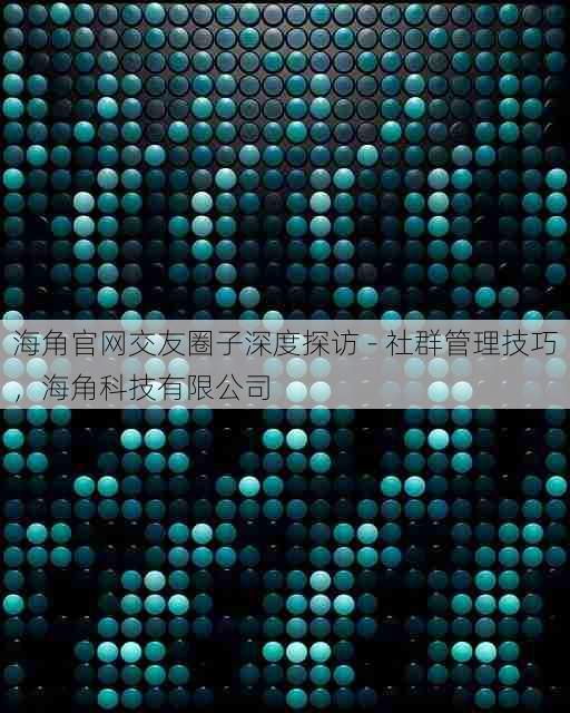 海角官网交友圈子深度探访 - 社群管理技巧，海角科技有限公司