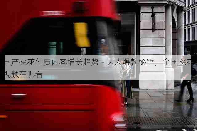 国产探花付费内容增长趋势 - 达人爆款秘籍,全国探花视频在哪看