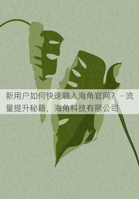 新用户如何快速融入海角官网? - 流量提升秘籍,海角科技有限公司
