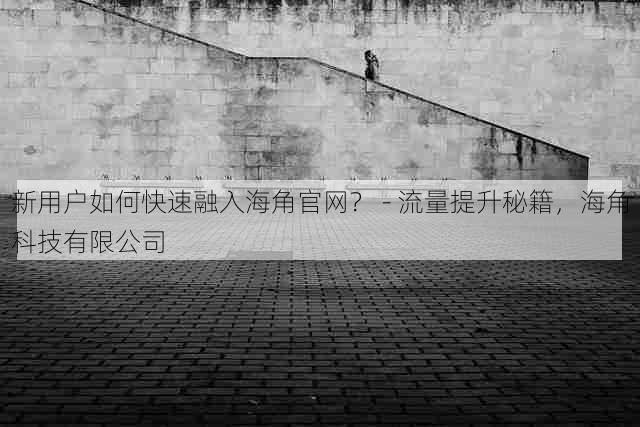 新用户如何快速融入海角官网? - 流量提升秘籍,海角科技有限公司