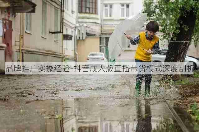 品牌推广实操经验-抖音成人版直播带货模式深度剖析