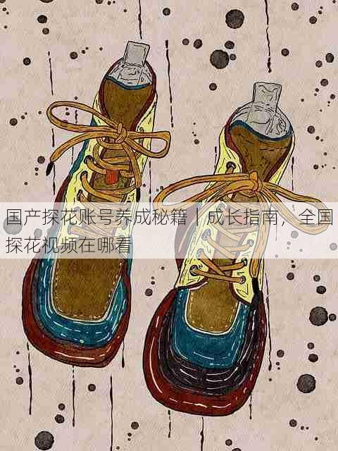 国产探花账号养成秘籍｜成长指南，全国探花视频在哪看