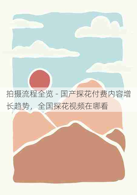 拍摄流程全览 - 国产探花付费内容增长趋势,全国探花视频在哪看