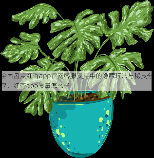 全面盘点红杏app官网客服支持中的隐藏玩法与秘技分享,红杏app质量怎么样