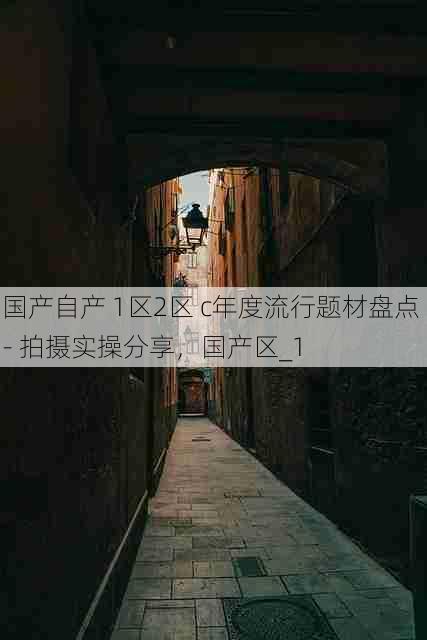 国产自产 1区2区 c年度流行题材盘点 - 拍摄实操分享,国产区_1